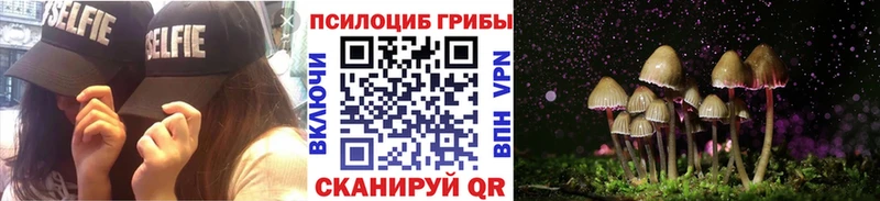 MEGA сайт купить наркотики цена Питкяранта Галлюциногенные грибы Psilocybe